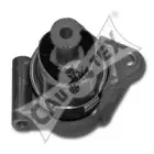 cautex-480503