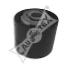 cautex-480516