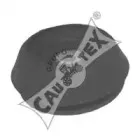 cautex-480518