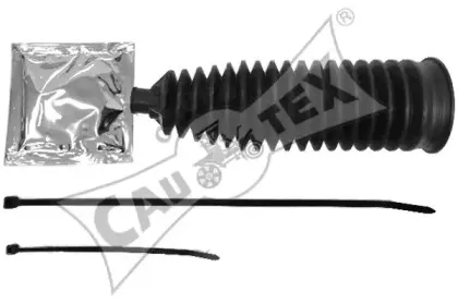 cautex-480620