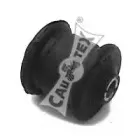 cautex-480798