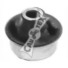 cautex-480884