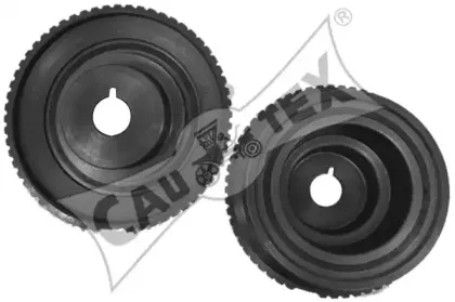 cautex-480907