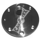 cautex-481041