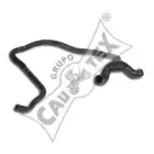 cautex-481113