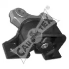 cautex-481136