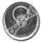 cautex-481139