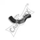 cautex-486501