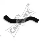 cautex-486511