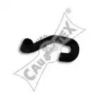 cautex-486521