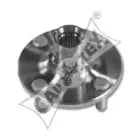 cautex-701004