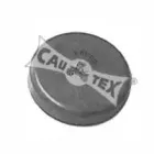 cautex-950129