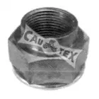 cautex-951002