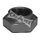 cautex-951003