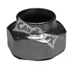 cautex-951004