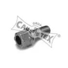 cautex-951019