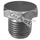 cautex-952000