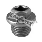 cautex-952006
