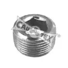 cautex-952011