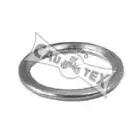 cautex-952023