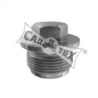 cautex-952027