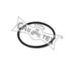 cautex-952036