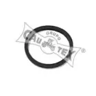 cautex-952044