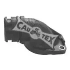 cautex-952106