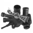 cautex-952121
