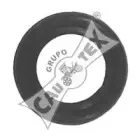 cautex-952155