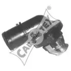 cautex-952157