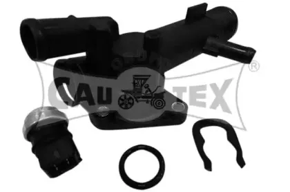 cautex-952181