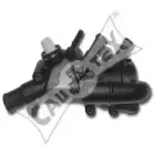 cautex-952187