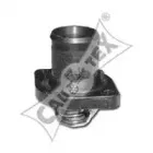 cautex-952191