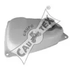 cautex-954047