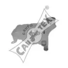 cautex-954061