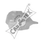 cautex-954062