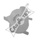 cautex-954079
