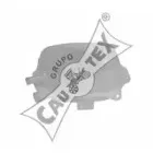 cautex-954086