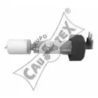 cautex-954106