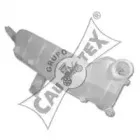cautex-954191