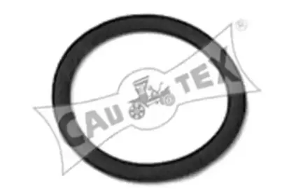 cautex-954208