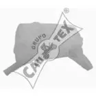 cautex-954229