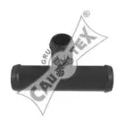 cautex-955064
