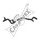 cautex-955133