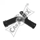 cautex-955165