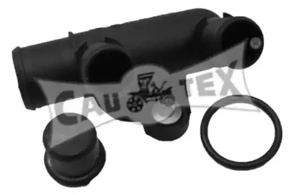 cautex-955204