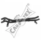 cautex-955225