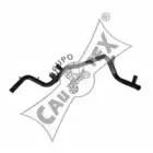 cautex-955231