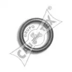 cautex-955245